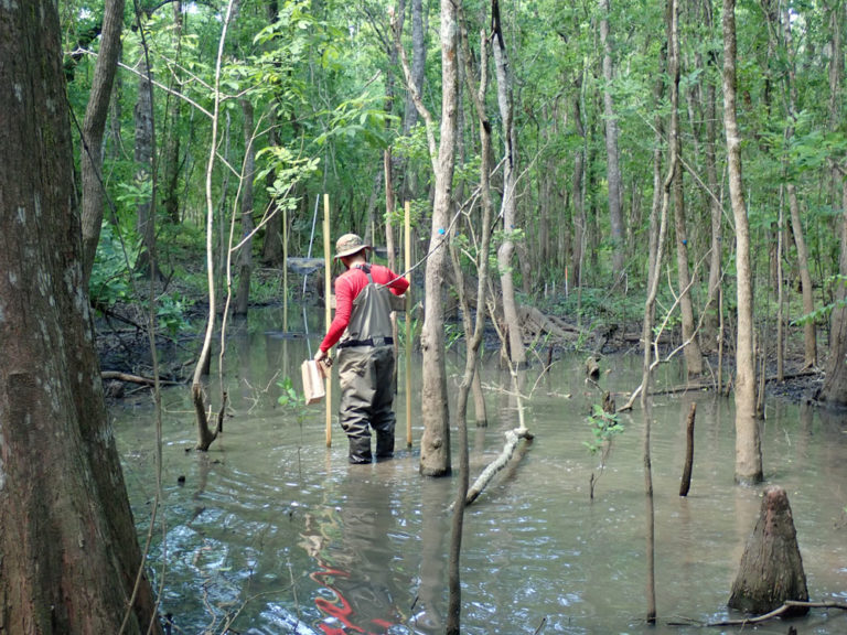 St. Martinville Monitoring