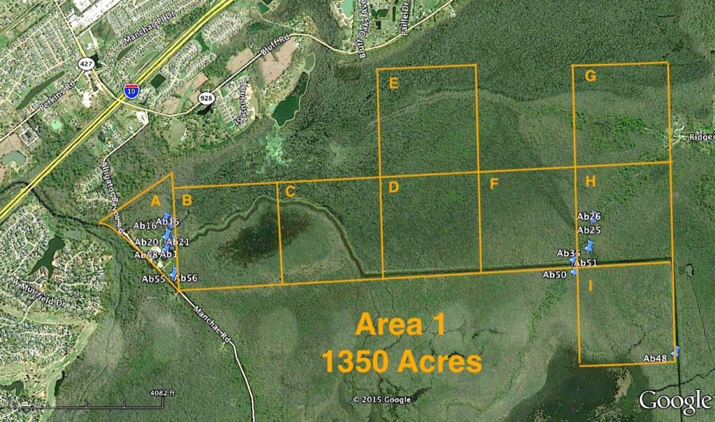 Delineation project boundary for the Bluff Swamp Wildlife Reserve 