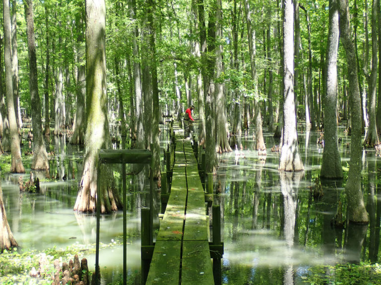 St. Charles Monitoring