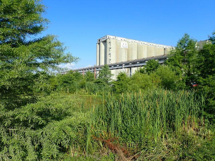 Stormwater Wetlands