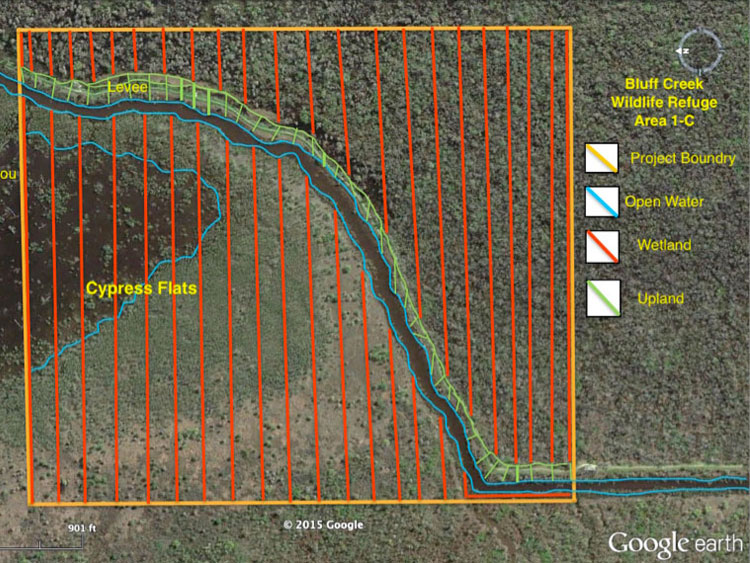 Wetland Delineations