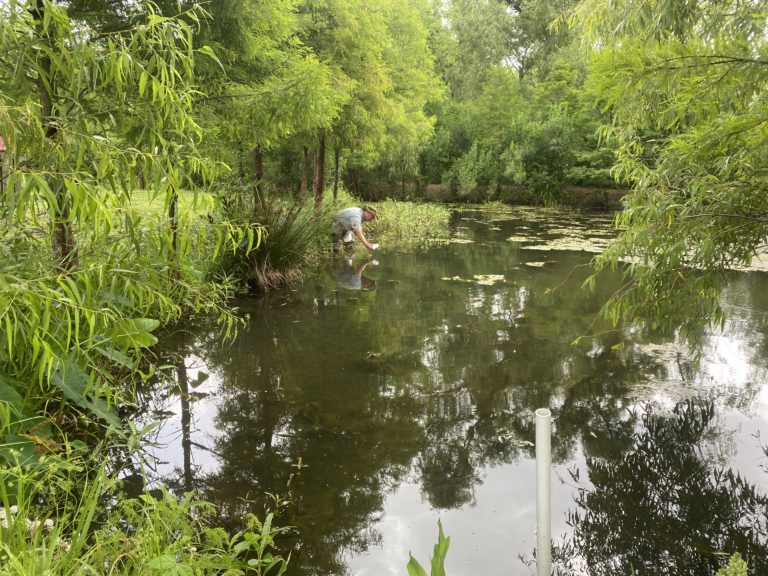 Why Do I need a Phase 1 Environmental Site Assessment?
