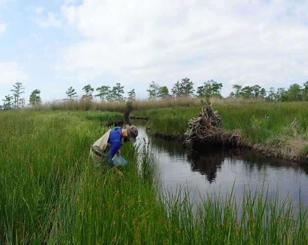 Why Do I need a Permit to Build on Wetlands?