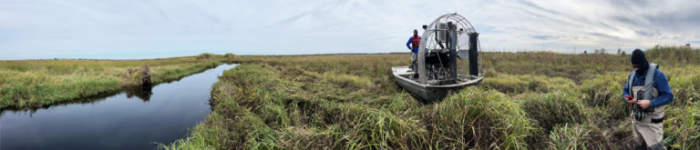 Wetland Delineations