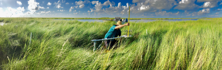 Why rSETs are Important for Wetland Monitoring