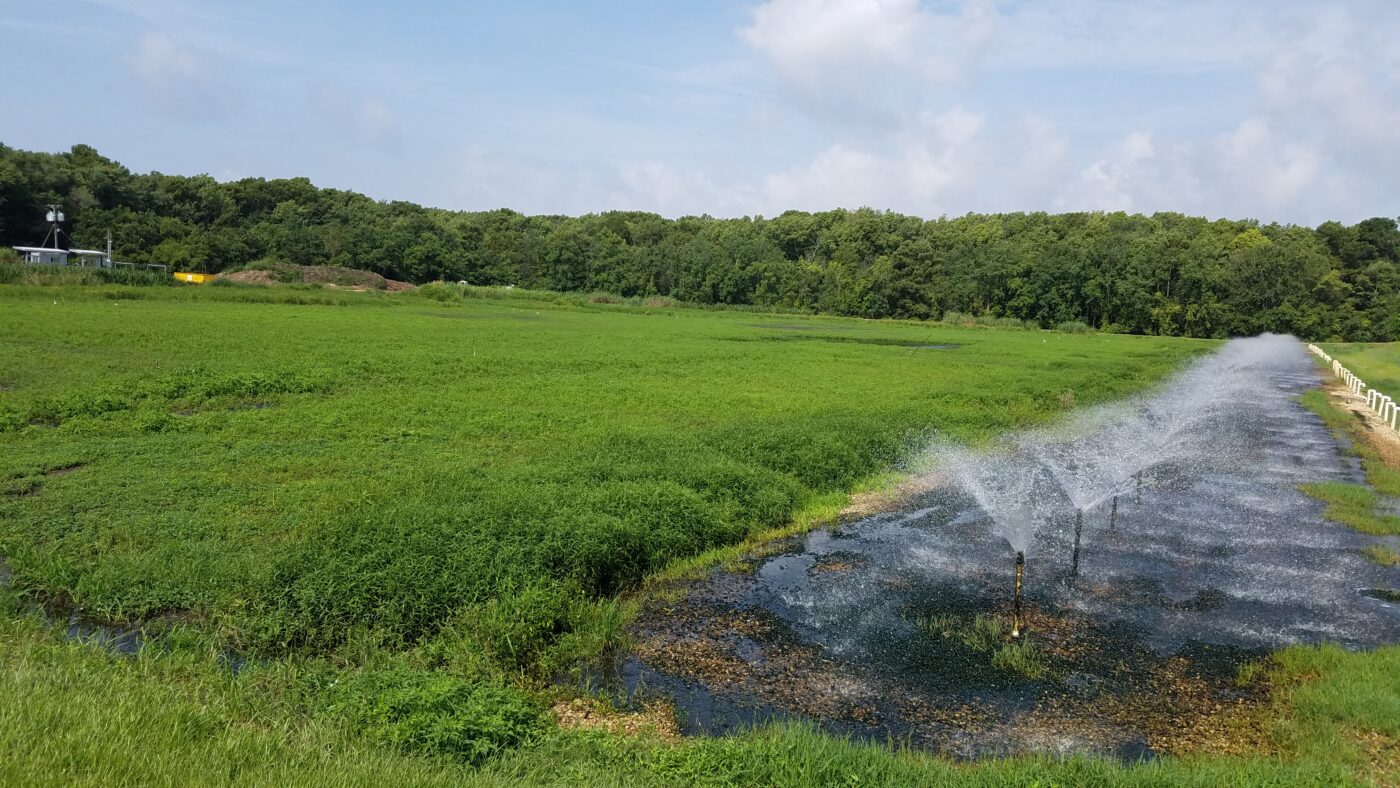 A row of sprayers releasing wastewater into a constructed wetland.